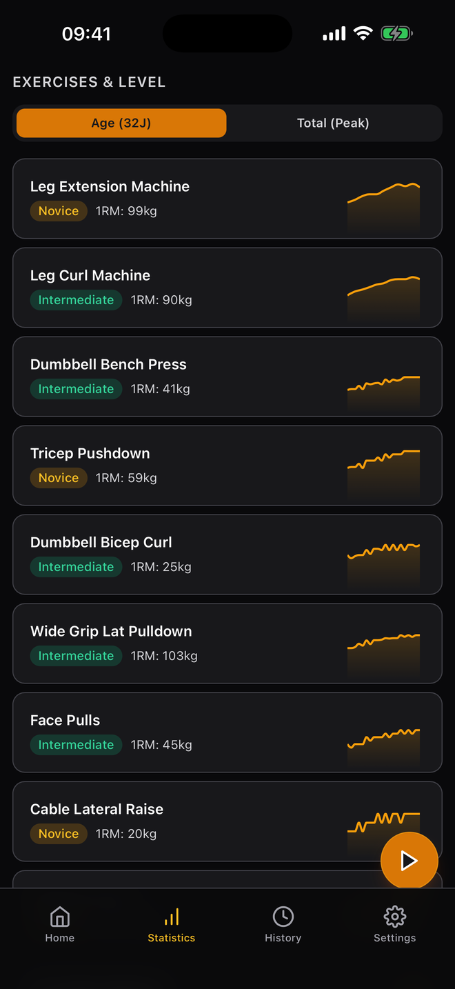 Per-exercise level overview